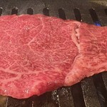 うしごろバンビーナ - 本日は、トウガラシでした