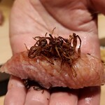 龍寿し - 名物！トロ舞茸