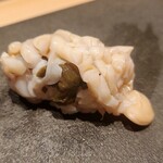 龍寿し - バイ貝