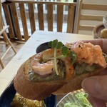 books to curry 猫のしっぽ - 