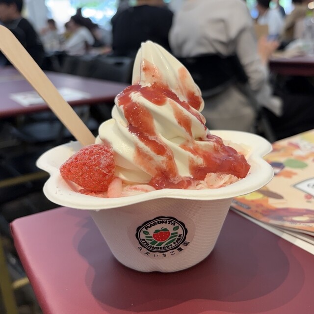 丸北いちご農園 - 美馬牛（その他）の写真