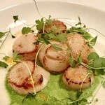 ベケット - ホタテ貝のソテー