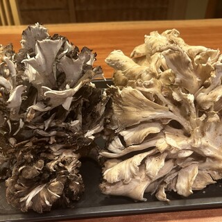 八丁堀こまつ_1