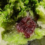 虎屋菓寮 - 中からたっぷりの小倉餡