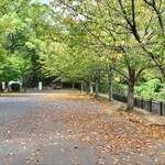 ムーラン エ カフェ グウ 森ノ宮店 - 