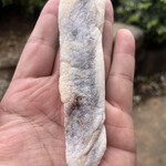 なが餅 笹井屋 - 