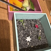 恵比寿ビストロ 猫も杓子も - 