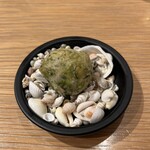 マンサルヴァ - 