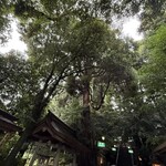 道の駅 高千穂 - 高千穂神社