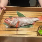 のどぐろ専門 銀座中俣 はなれ - 