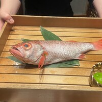 のどぐろ専門 銀座中俣 はなれ - 