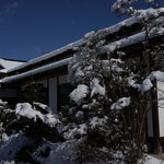 柳家 - 珍しい光景「雪の柳家」