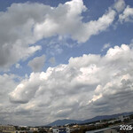 そば処 砂武縞 - 