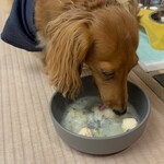 えふでの宿　小松家八の坊 - 