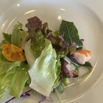 ミオ エ テンプリーナ - 