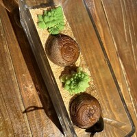 やさいの王様 銀座店 - 