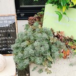 ショコラ パパ ノエル - 