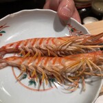 神田錦町 鮨たか晴 - 