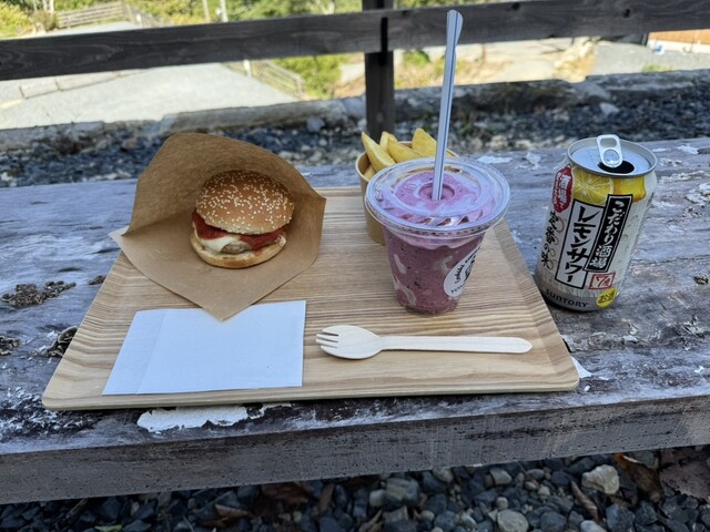 五色温泉オートキャンプ場 - 峠（その他）