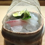 だい - シマダイ、アオリイカ