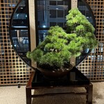 焼とり 常世長鳴鳥 - 