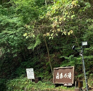 手打そば 本陣 - 