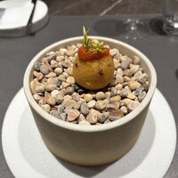 CIRPAS - 