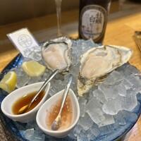 四ツ橋・新町 牡蠣と肉たらしビストロAKIRA - 