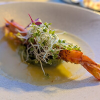 L'atelier de oto - 