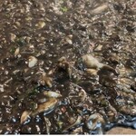 ええとこ 代々木 - 