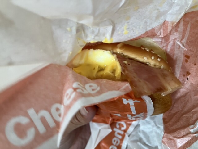 McDonald's Nijugo Go Ikaruga Ten