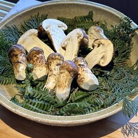 無名 - 八ヶ岳　標高2000m 朝取りの松茸