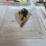 サーラ アマービレ - 