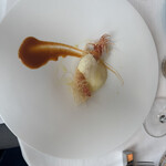 サーラ アマービレ - 