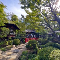 とうふ屋うかい 鷺沼店 - 