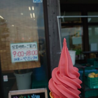 湖東のやさい畑_1