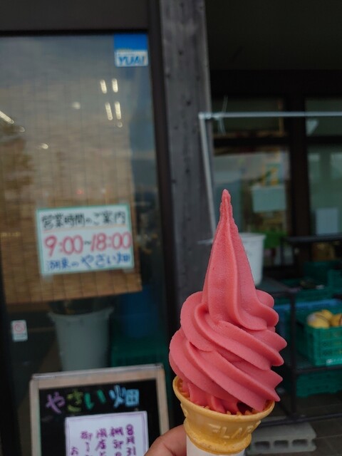 湖東のやさい畑 - 井川さくら（ソフトクリーム）の写真