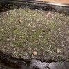 月島もんじゃ もへじ 三軒茶屋