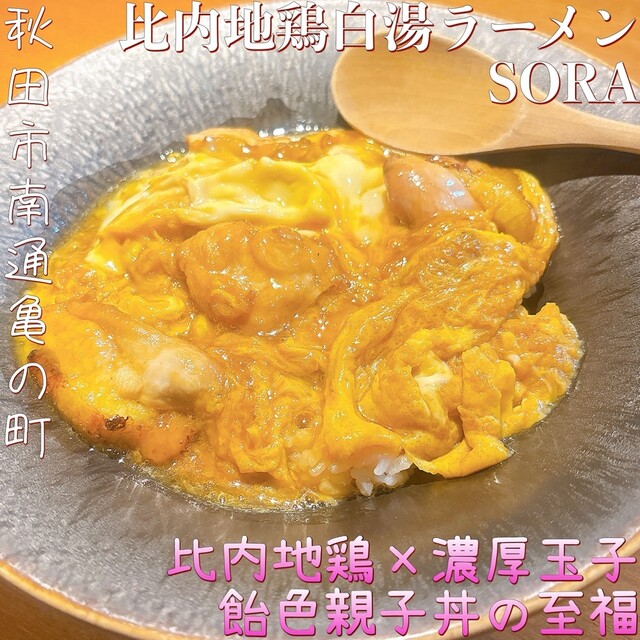 Hinaijidori Paitan Ramen SORA