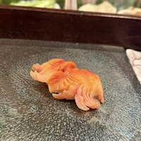 江戸心 山ぼうし - 