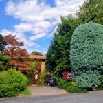 オークウッド - 