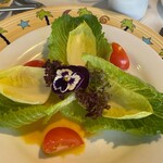 Star of Honolulu - Star of Honolulu(ハワイアングリーン)