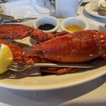 Star of Honolulu - Star of Honolulu(ノバスコシア産メインロブスター)