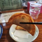 はなさき家 - 揚げ餃子 リフト