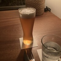 CICADA - 