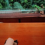 瀬里奈 - ラウンジのテーブルです。