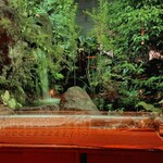 瀬里奈 - ラウンジから見える滝です。