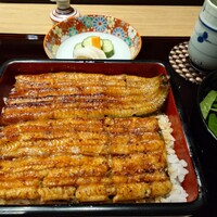 恵比寿 鰻 松川 - 