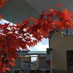 TRATTORIA Montagne Cucina