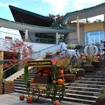 TRATTORIA Montagne Cucina